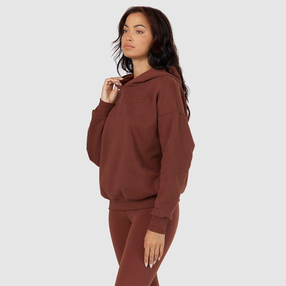 Lounge Underwear 365 Oversized Hoodie Chocola | JM5879312