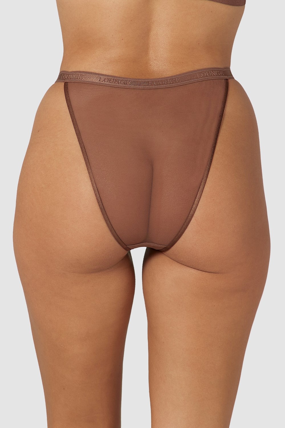 Lounge Underwear Smooth Mesh Briefs Chestnut | JN2150784