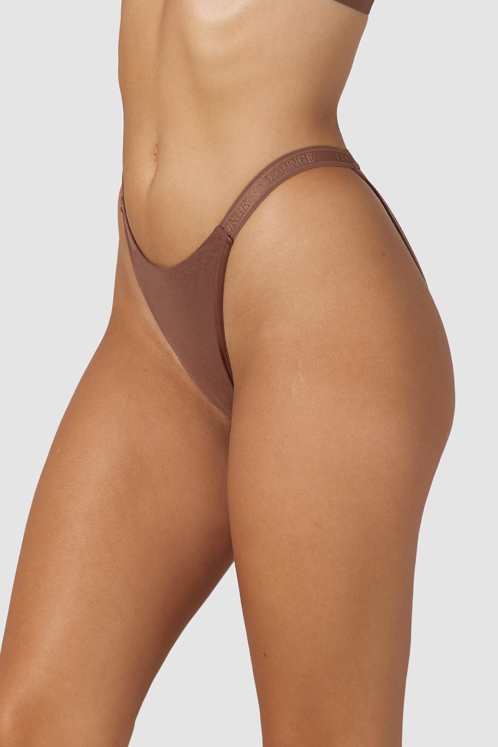 Lounge Underwear Smooth Mesh Briefs Chestnut | JN2150784